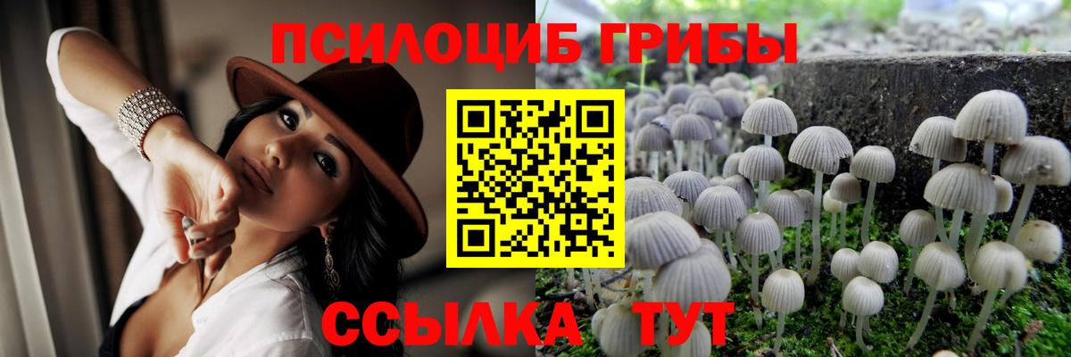 Мелеуз  Галлюциногенные грибы Psilocybine cubensis  Псилоцибиновые грибы Psilocybe  Вход с VPN 